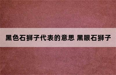 黑色石狮子代表的意思 黑眼石狮子